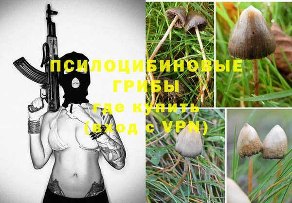 дживик Алексеевка