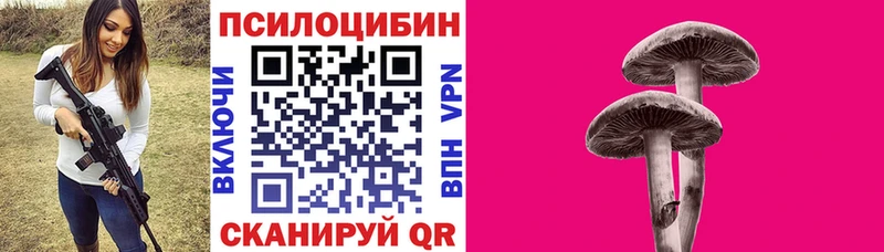 Псилоцибиновые грибы Cubensis  Кирс 